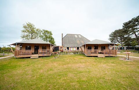 Safaritent aan de Nederlandse kust - 5