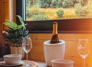 Unieke accommodatie met hottub in Limburg - 13