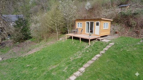 Adventurous Tiny House in the Woods - 2