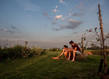 Luxuriöse Ferienwohnung an der Mündung der Westerschelde - 27