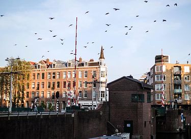 Maison du gardien de pont près du Jordaan - Amsterdam - 13