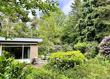 Waldhaus in Drenthe mit Kamin und großem Garten - 15