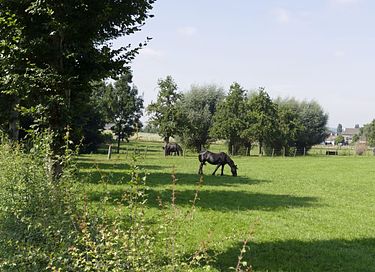 Group lodging (12 pers) in old country house - 27