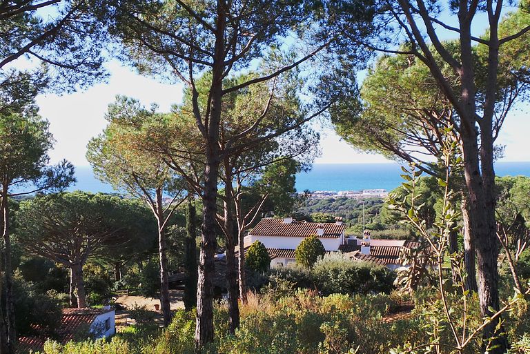 Stimmungsvolle Casita mit Meerblick - 1