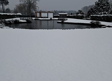 Natuurhuisje met leuke visvijver  - 30
