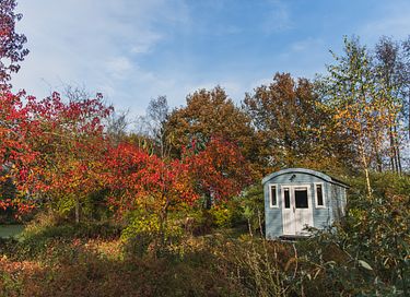 Einzigartiger Schäferwagen in schönem Garten - 19