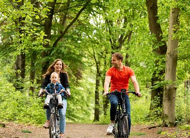Heerlijk wellness vakantiehuis voor 5 pers.  - 20