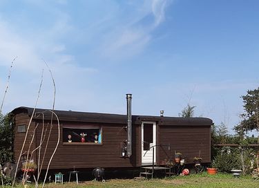 Roulotte tzigane dans un endroit magnifique du Brabant - 10