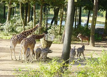 Luxuriöser Bungalow in der Nähe eines Naturschutzgebietes - 27