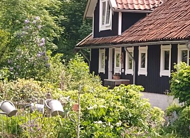 Gemütliches schwedisches Landhaus in Drenthe - 2