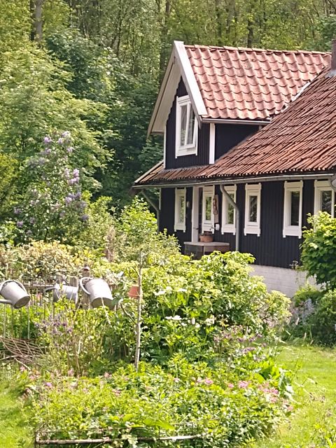 Gemütliches schwedisches Landhaus in Drenthe - 2