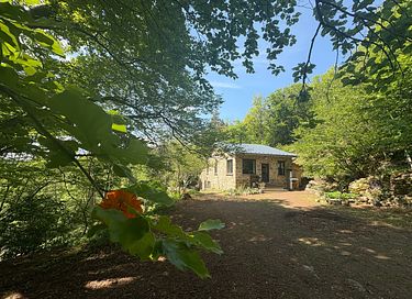 Selbstversorgendes Übernachten im Wald - 29