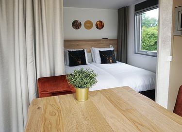 Luxury lodge for two on the Veluwe - 3