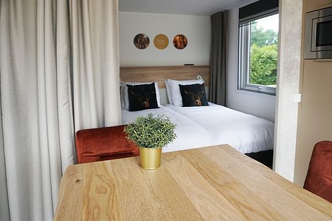 Luxury lodge for two on the Veluwe - 3