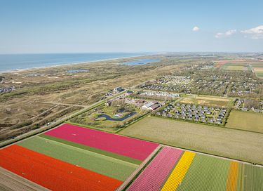 Appartements de plage à distance de marche de la mer - 20