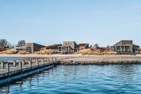 Villa de plage de luxe pour 6 personnes aux Pays-Bas - 2