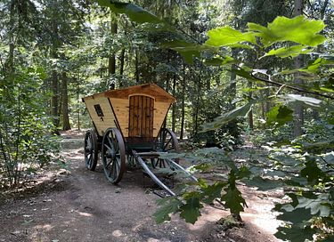 Special overnight stay in the middle of nature - 6