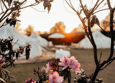 Special glamping experience in a luxury tent - 8