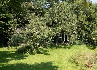 Ferienhaus in der Natur zwischen den Weiden - 15