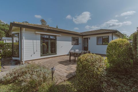 Chalet de bien-être avec jacuzzi à Veluwe - 3