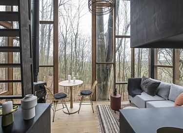 Overnight among the trees in glass cabin - 8