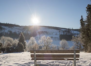 Vakantiehuis (hond toegestaan) in Sauerland - 27