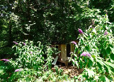 Einzelner Zirkuswagen im Wald - 20