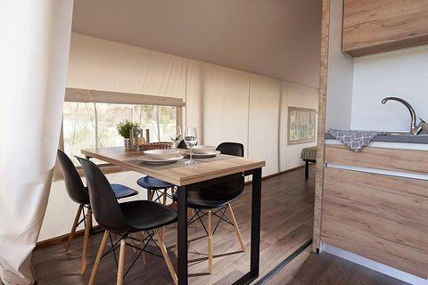 Nice glamping tent in the Utrecht woods - 3