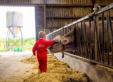 Glamping auf der Dairy & Calf Farm - 17