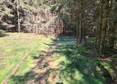 Appartement à l'orée de la forêt pour 2 personnes - 29