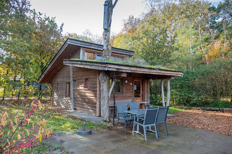 Houten natuurhut in een bosrijke omgeving - 1