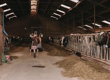 Zelt-Häuschen mit freiem Blick auf den Brabanter Hof - 32