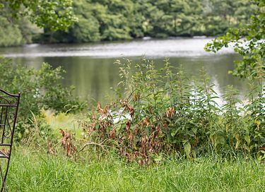 Knus houten slaapvat in de natuur - 7