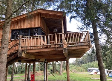 Tree Villa for 4 persons in Drenthe - 3