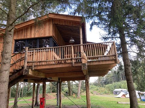 Tree Villa for 4 persons in Drenthe - 3