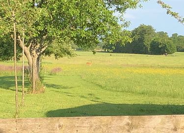 Dormir dans un Kota finlandais à Drenthe - 11