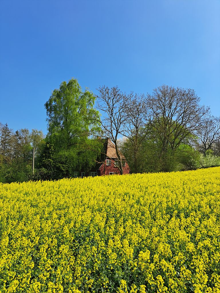 Rustic stay in rural setting - 1