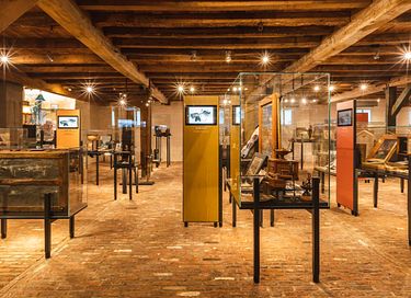 Uniek guesthouse vol historie en geschiedenis - 18