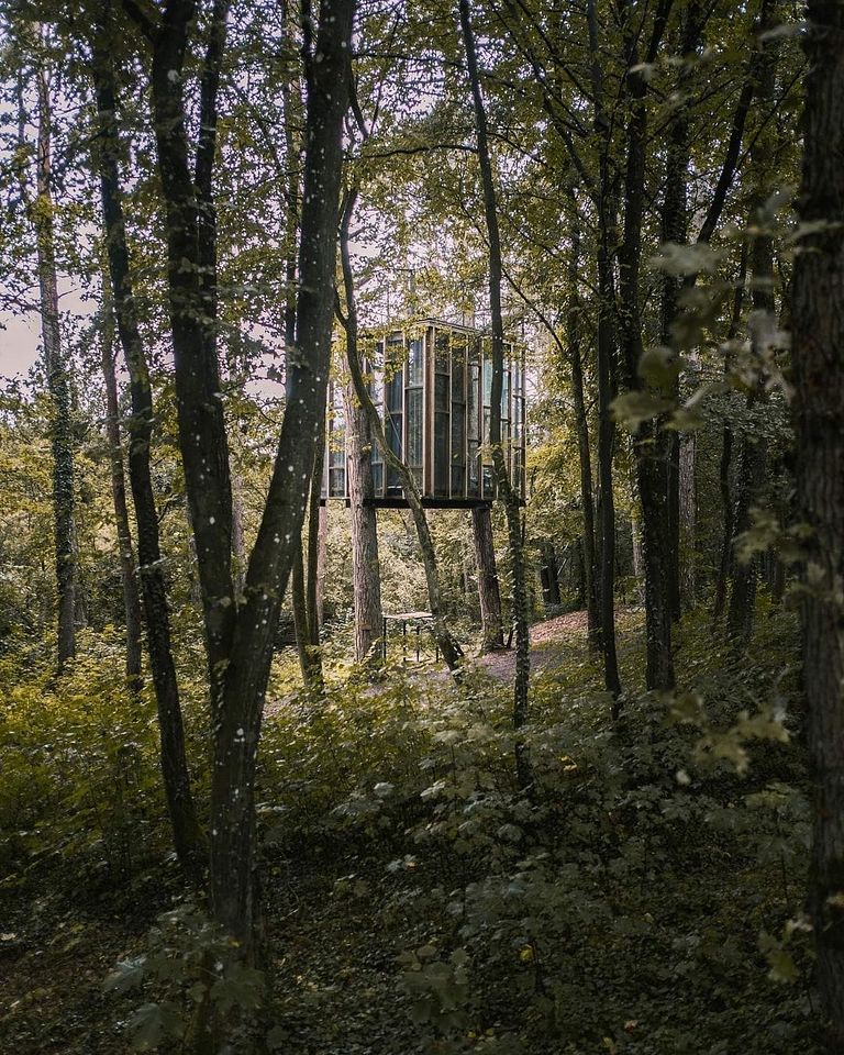 Overnight among the trees in glass cabin - 1