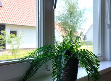 Luxury holiday home in Zeeland - 7