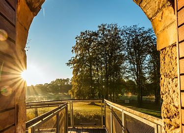 Cottage (6p) with barrel sauna in the forest - 28