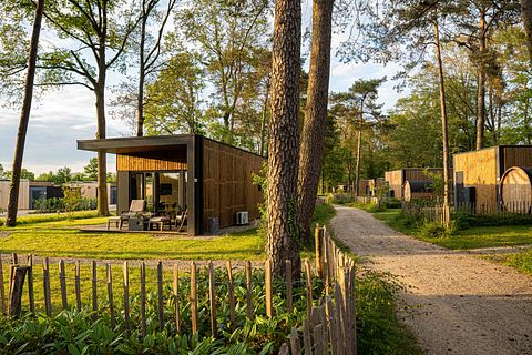 Tiny house de luxe avec sauna dans un parc tranquille - 4