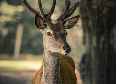 Enjoy peace and nature at a country estate - 26