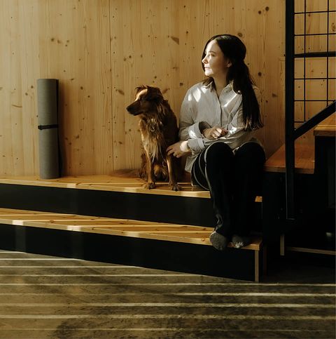 Knus 2-persoons huisje met sauna, hond welkom - 2