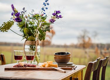 Tiny House (hot tub) overlooking Alpacas - 21