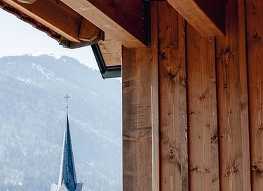 Luxury apartment with sauna in Austria - 18
