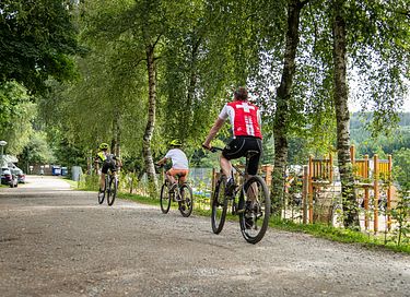 Logement de vacances familial au cœur des Ardennes - 31