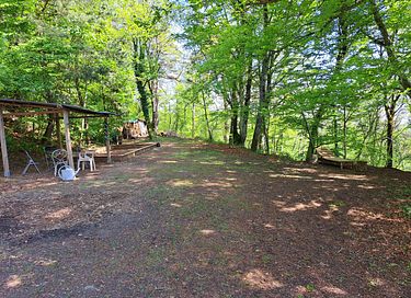 Selbstversorgendes Übernachten im Wald - 4