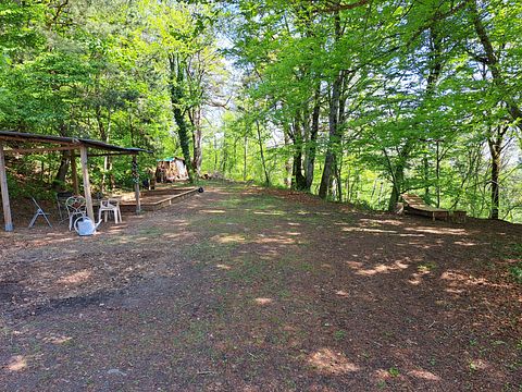 Selbstversorgendes Übernachten im Wald - 4