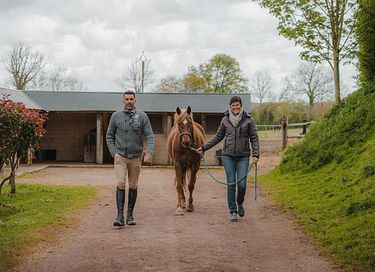 Tiny House zwischen Pferden und Ponys - 19